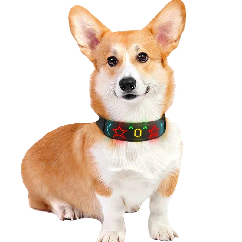 Multicolor Pet LED Dog Collars - Tech Dog Accessories 评论和价格