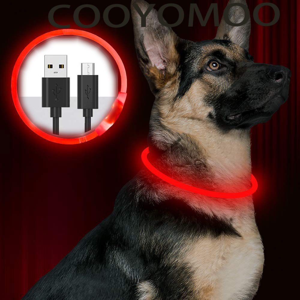 Silicone LED Dog Collar Rechar - Tech Dog Accessories 评论和价格