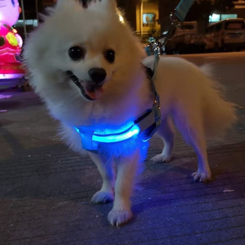 Breathable Light Up LED Dog Ha - Tech Dog Accessories 评论和价格