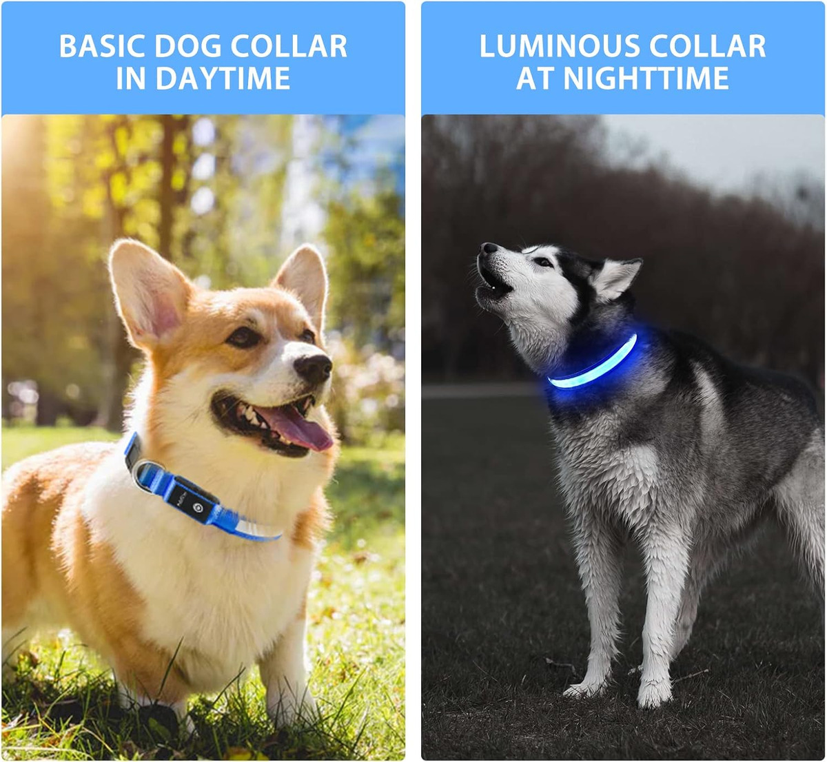 USB LED Dog Collar Lights - Ad - Tech Dog Accessories 评论和价格
