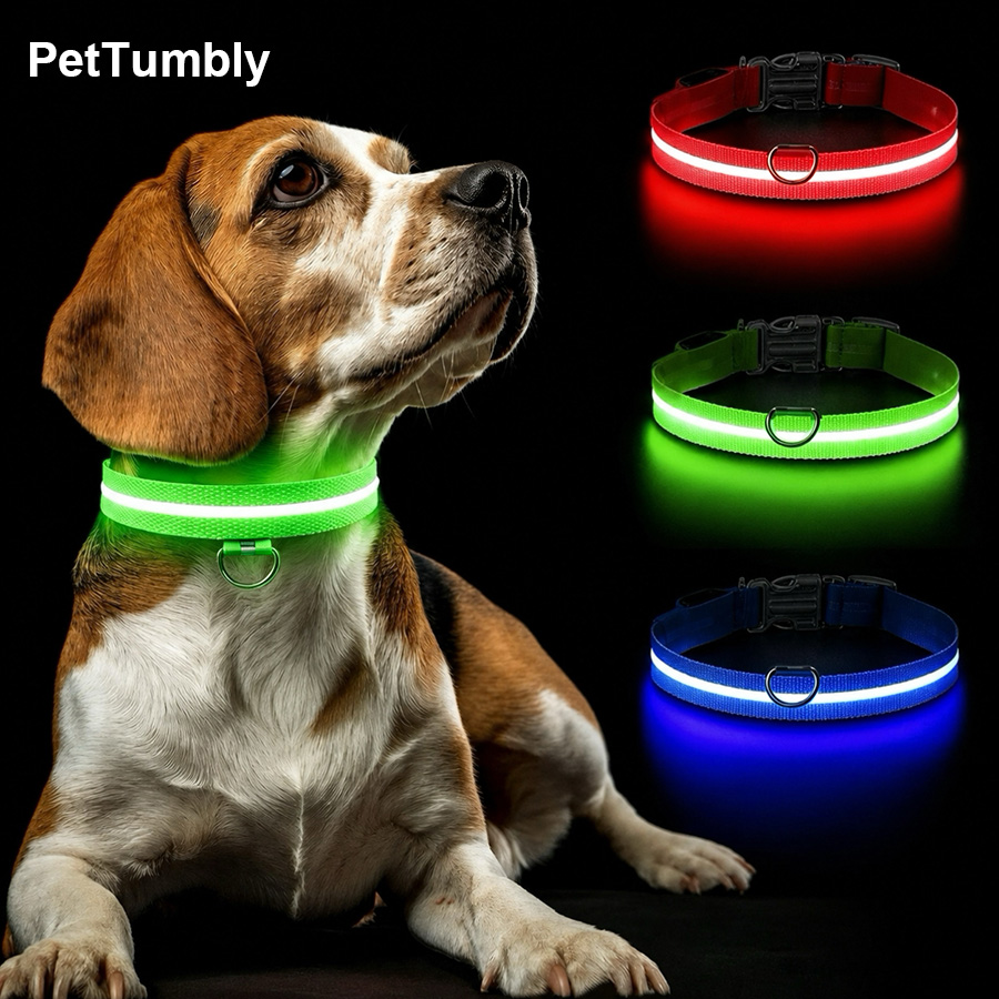 3 Modes Dog Luminous Charge Co - Tech Dog Accessories 评论和价格