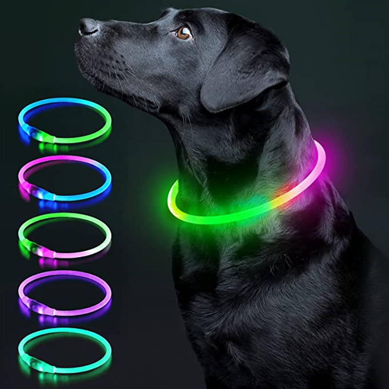 Luminous Dog Collar Light Char - Tech Dog Accessories 评论和价格