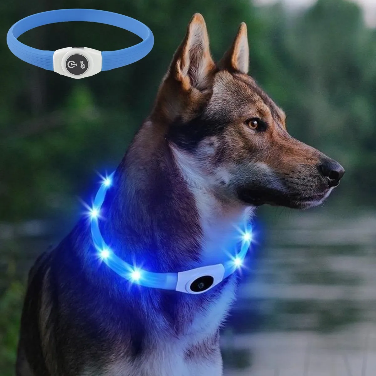 New Led Luminous Dog Collar PV - Tech Dog Accessories 评论和价格