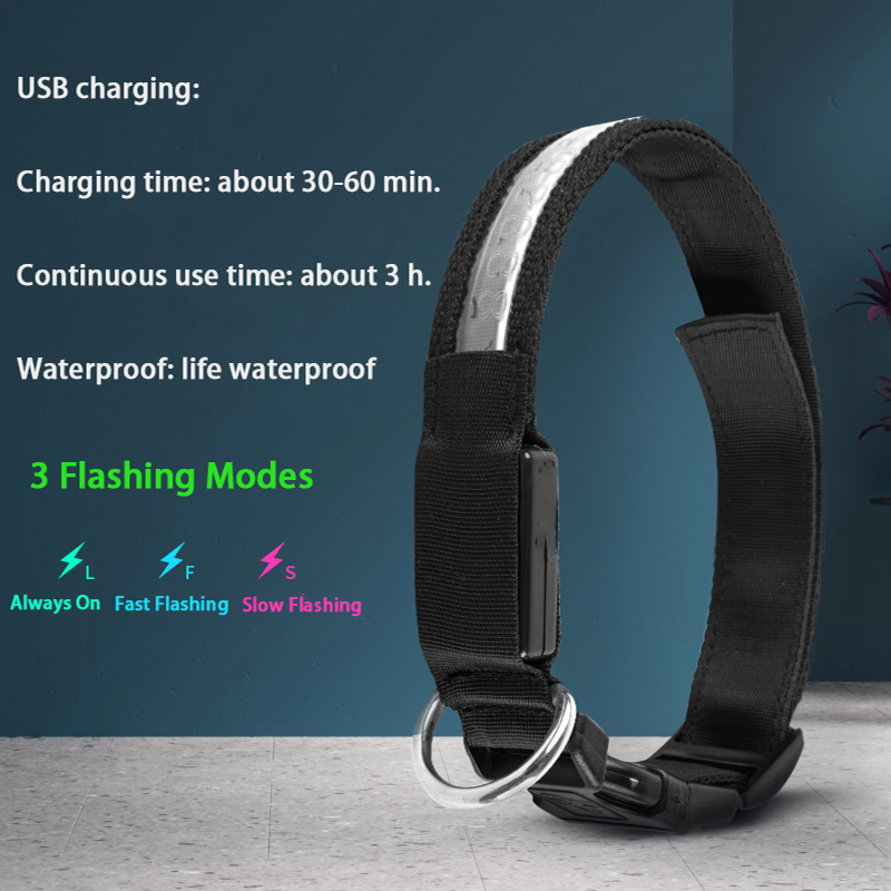 Engraved ID LED Dog Collar Lum - Tech Dog Accessories 评论和价格