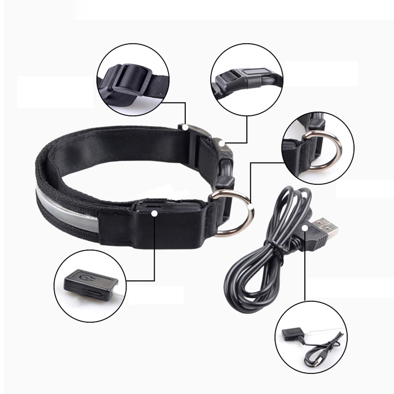 Engraved ID LED Dog Collar Lum - Tech Dog Accessories 评论和价格